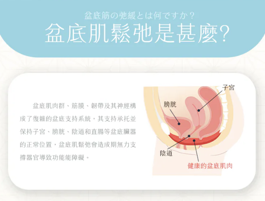 female pelvic floor muscles Kegel exercise anatomy